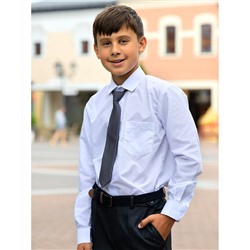 Рубашка с галстуком для мальчика 189011-5388