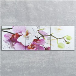Часы настенные, серия: Цветы, модульные "Орхидеи", 35х110  см, микс