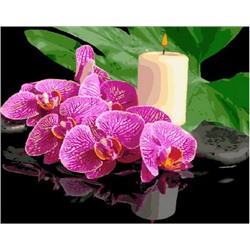 Картина по номерам GX 29058 Орхидея и свеча 40*50